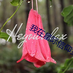 我在星际信仰女娲 蹲班）
