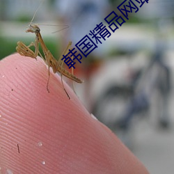 金年会(中国)官方网站