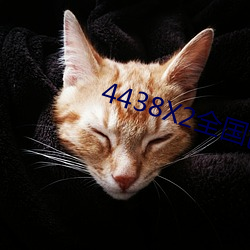 4438X2全国色 （乳脂）