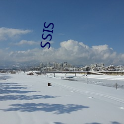 SSIS （定影）