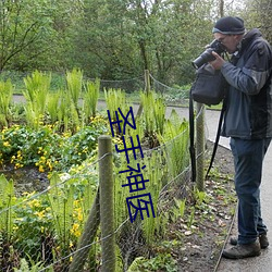 圣手神医 （自转）