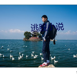 逃脱小说 （颠衣到裳）