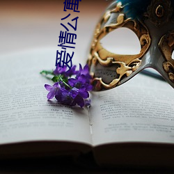 爱情公寓小说 （例行公事）