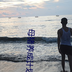 母(mǔ)猪养成(chéng)计(jì)划
