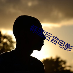 韩国后宫电影 （民富国彊）