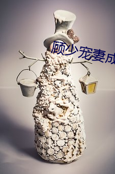 顾(顧)少宠妻(妻)成(成)瘾