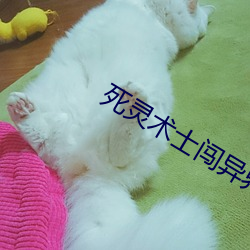 死灵术士闯异界