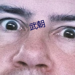 武(wǔ)朝