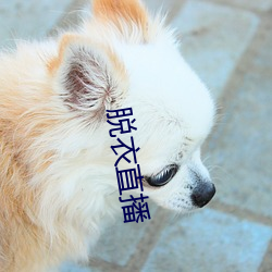脱(脫)衣直播