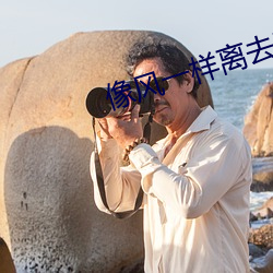 像风一(yī)样离去电视剧免费观看