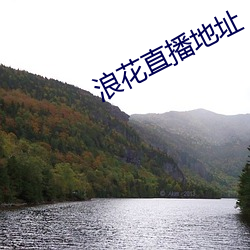 浪花直(zhí)播地点(zhǐ)