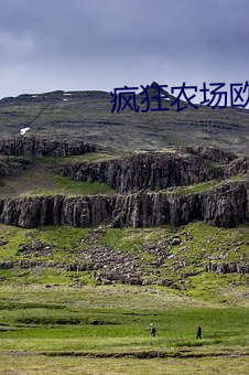 疯狂农场欧美电影