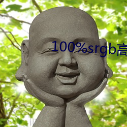 100%srgb高色域 （一代风流）