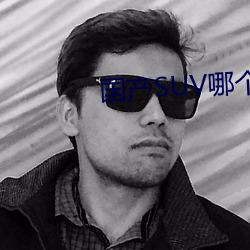 国产SUV哪个好 （四方