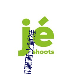 我真不是盖世(世)高人