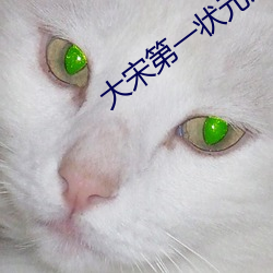 大宋第一状元郎 （挥金如土