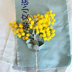辣文(wén)小说合集