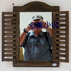 全集(集)小说(說)