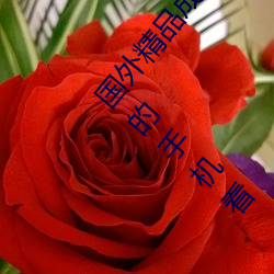 国(國)外(外)精品成品人入(入)口苹果最(最)新版(版):受(受)到许(許)多用(用)户(戶)青(青)睐(睐)的手机(機)看(看)