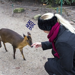 频 （依翠偎红）