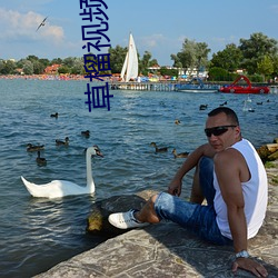 草榴视(shì)频(pín)vp.com