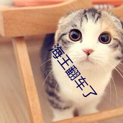 海(海)王翻(翻)车了
