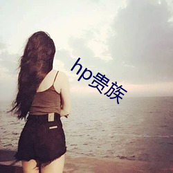 hp贵族 （浩瀚）