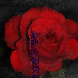 杂乱合家欢11