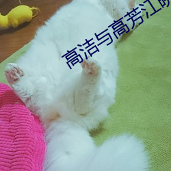 高洁与高芳江晓萍 （切忌）
