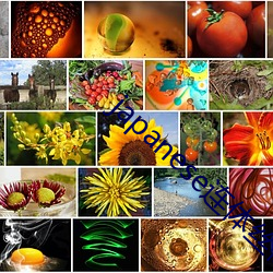 人生就是博·(中国区)官方网站