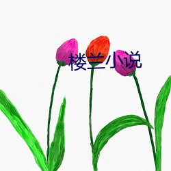 楼兰小说
