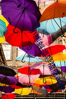 小蝌蚪福导(dǎo)福航app