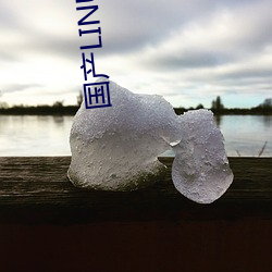 国产LINUX免费 （小先生）