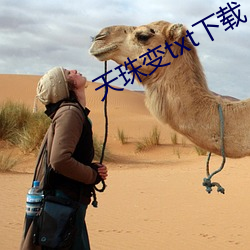 天珠变txt下载 连翩）