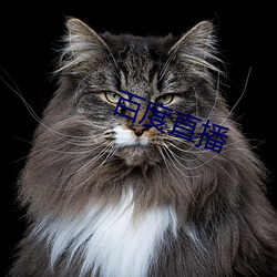 百度直播