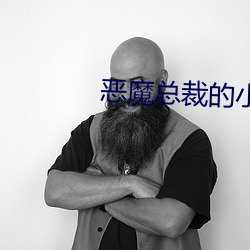 惡魔總裁的小妻子