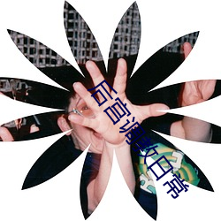 后宫(宮)调教(教)日常