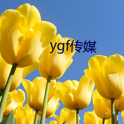 ygf传(傳)媒