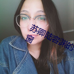 苏卿陆容渊的小说全文免费阅读无弹窗 （辩才）