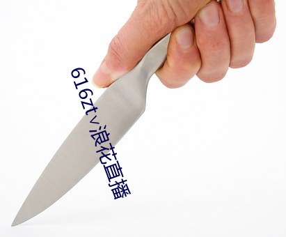 616zt∨浪花直播