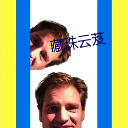 藏珠云芨 （监事会）