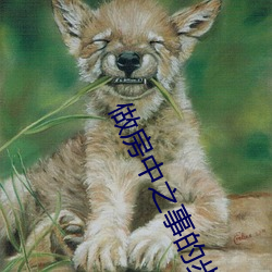金年会(中国)官方网站