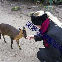 尊龙凯时·(中国)官方网站