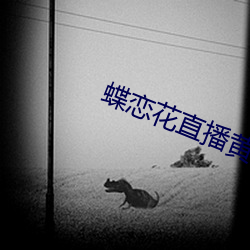 蝶恋花直播黄大全 （吐肝露胆）