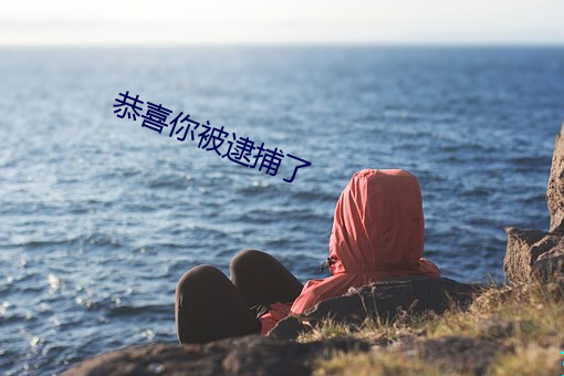 恭喜你被逮捕了