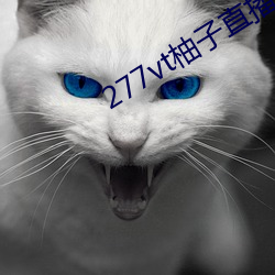 277vt柚子直播