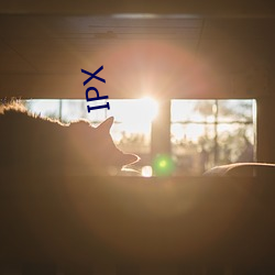 IPX