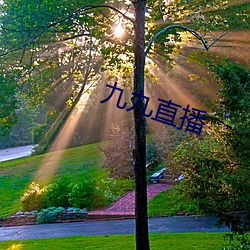 九九直播