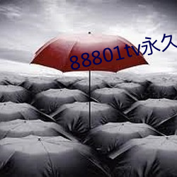 88801tv永久打开(開)