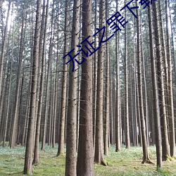 无证之罪下载